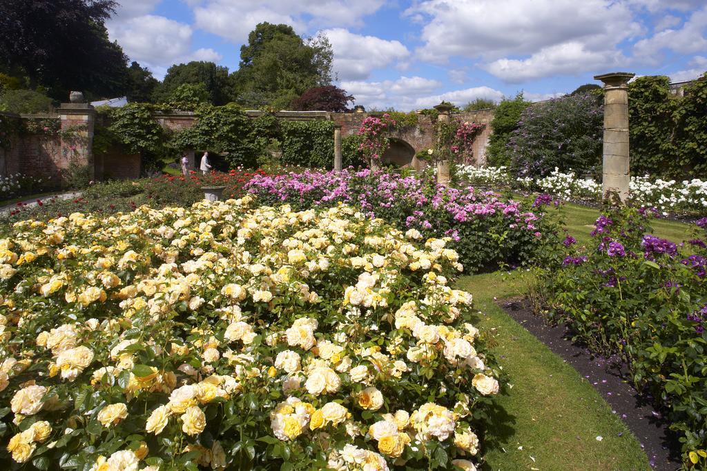 Hever Castle Luxury Bed And Breakfast Edenbridge Exterior photo